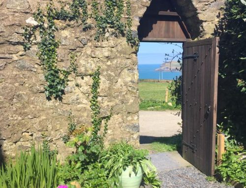 Spring View through Stone Wall